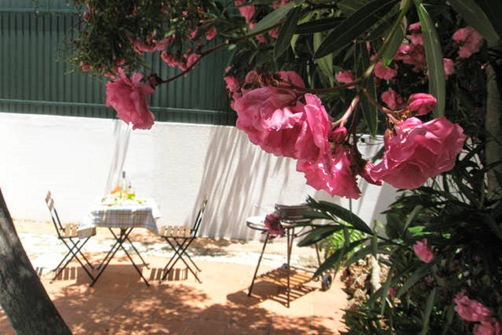 Roaz De Bandeira Guesthouse Olhao Bagian luar foto